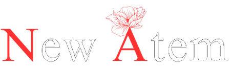 株式会社 New Atem