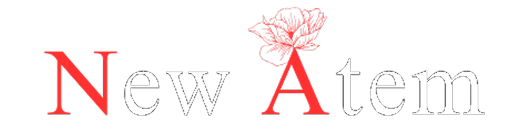 株式会社 New Atem